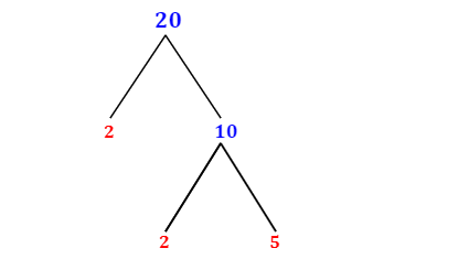 which number is a prime factor of 20